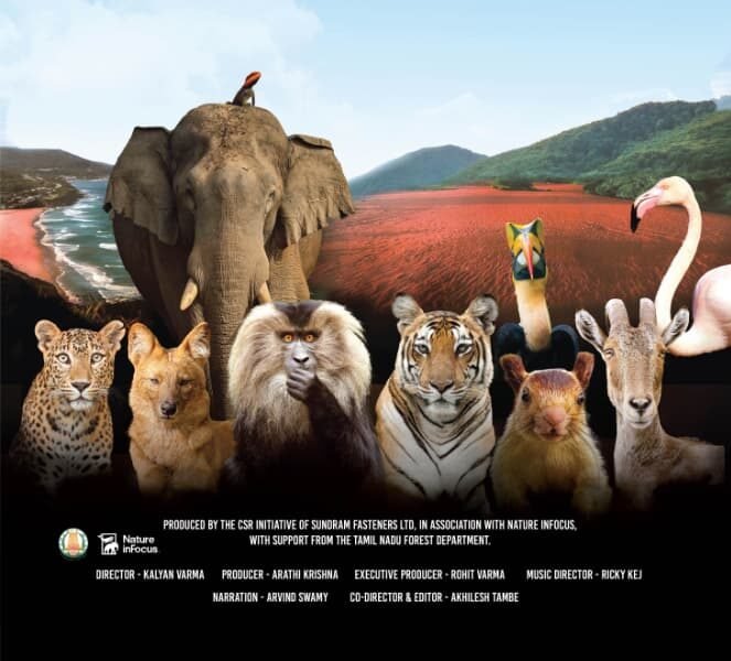 தமிழகத்தின் மறைந்திருக்கும் இயற்கை ரகசியங்கள்.. “வைல்ட் தமிழ்நாடு” செப்டம்பர் 7 முதல்! தமிழகத்தின் மறைந்திருக்கும் இயற்கை ரகசியங்கள்.. “வைல்ட் தமிழ்நாடு” செப்டம்பர் 7 முதல்!